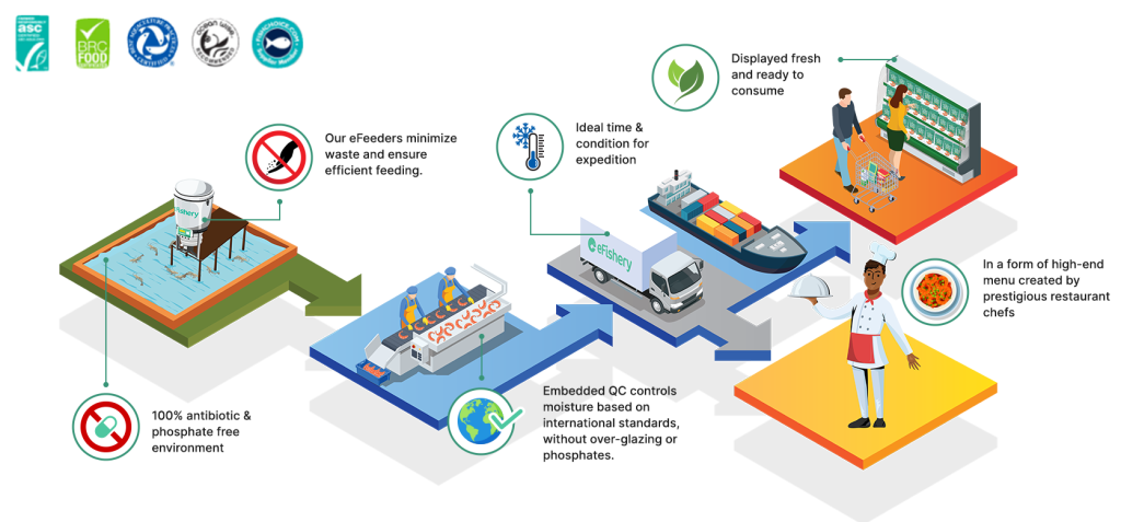 eFishery shrimp Journey
